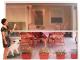 PLASE INSECTE AUTOMATE ROEFFE 5000 X 2300